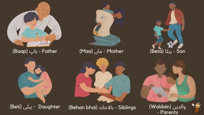 Urdu Vocabulary For Family