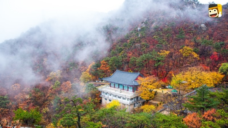 seasons in korean autumn