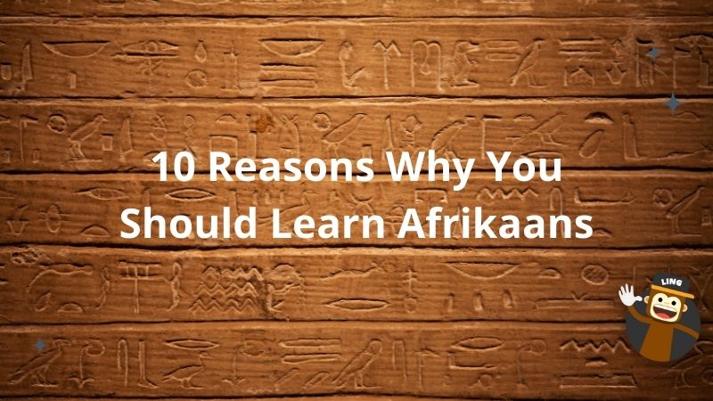 10 Reasins Why you should Learn Afrikaans
