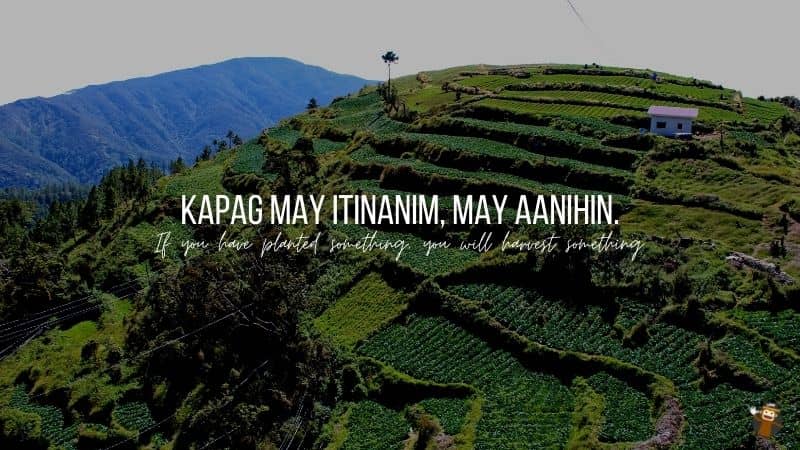 Kapag May Itinanim, May Aanihin.-Tagalog-Motivational Phrases-Ling