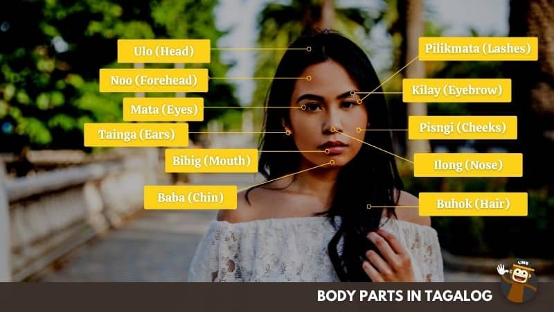 Body Parts In Tagalog - Mga Bahagi ng Katawan