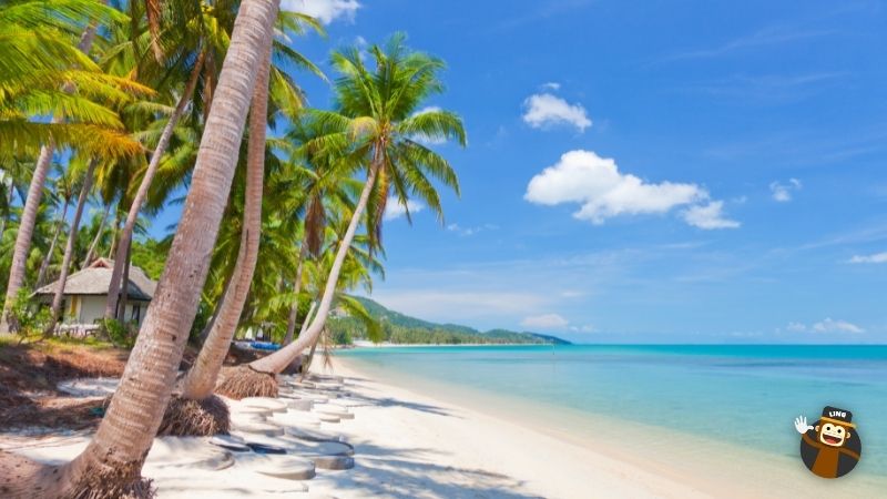 Plan a trip to Thailand beaches