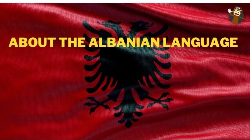 Good night In Albanian