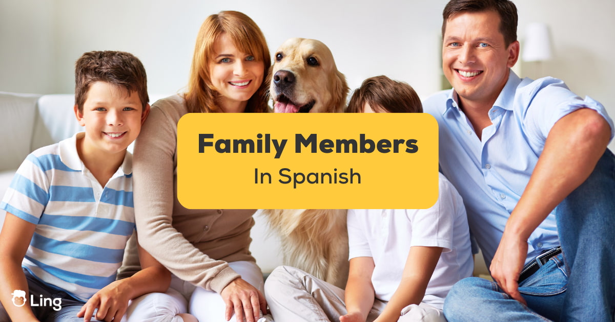 household-members-in-spanish-50-phrases-to-enhance-your-information