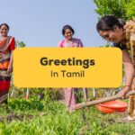 Greetings In Tamil: 50+ Best Words And Phrases