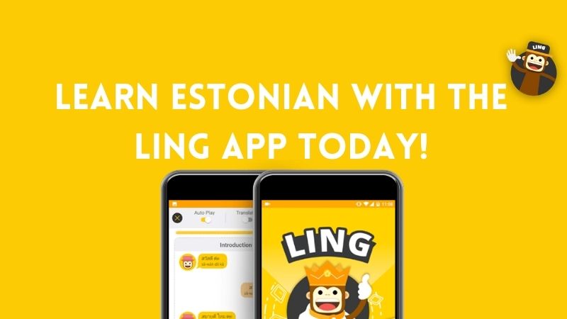 Is Estonian Hard To Learn