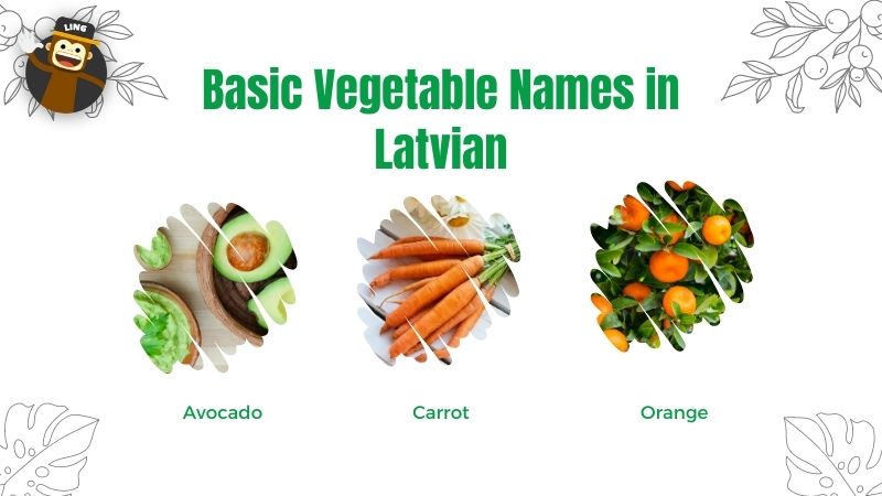 Basic Vegetables in Latvian 