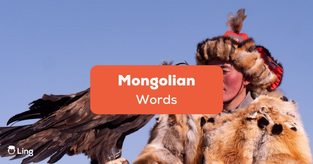 Mongolian Words