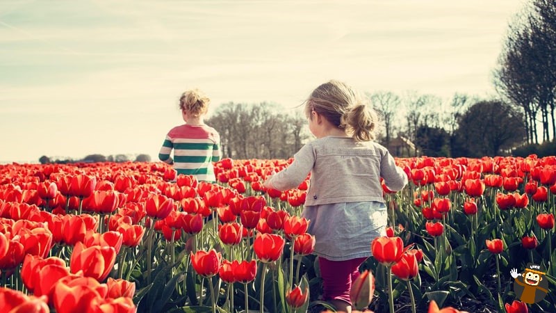 Names in Dutch for Boys and Girls