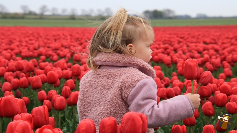 Names in Dutch for girls 