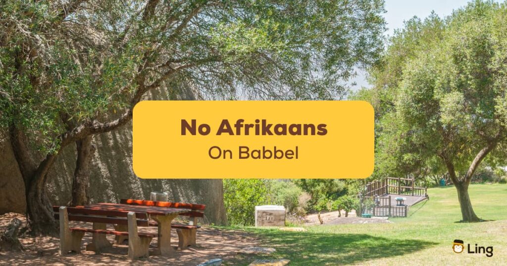 No Afrikaans On Babbel
