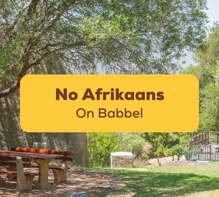 No Afrikaans On Babbel