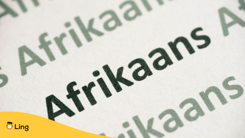 No Afrikaans on Babbel About The Afrikaans Language