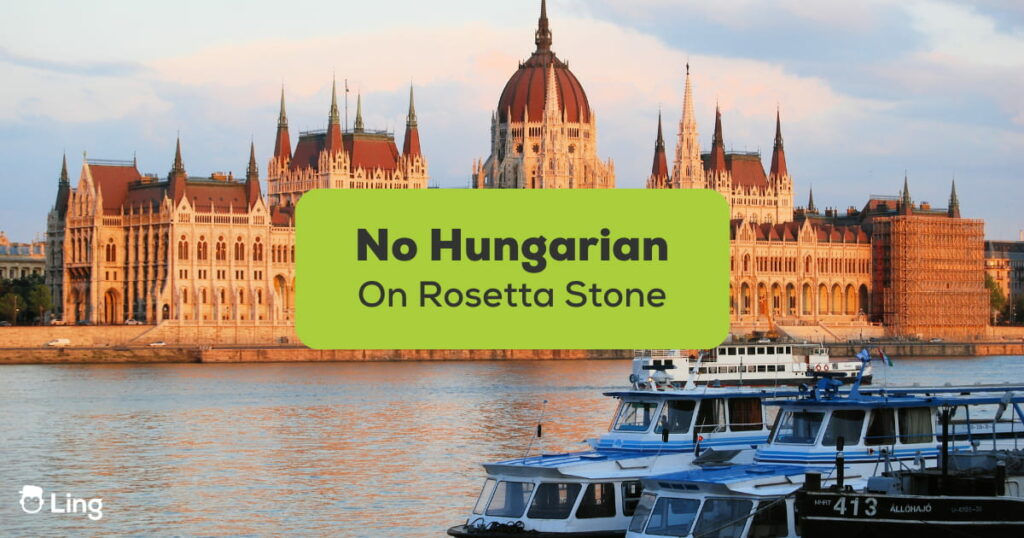 No Hungarian On Rosetta Stone