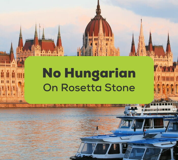 No Hungarian On Rosetta Stone