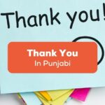 Thank you in Punjabi