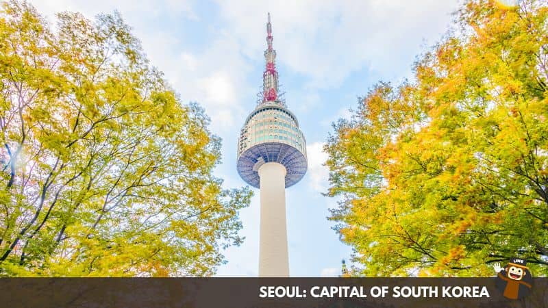 Culture- Capital-of-South Korea-Ling