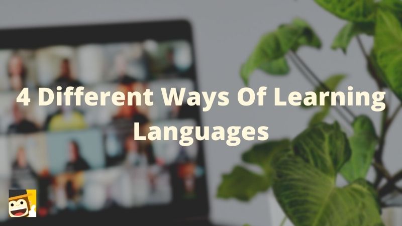 different ways of learning languages