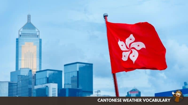 Windy - 大風 (Daai6 Fung1)-Cantonese-Weather-Vocabulary-Ling
