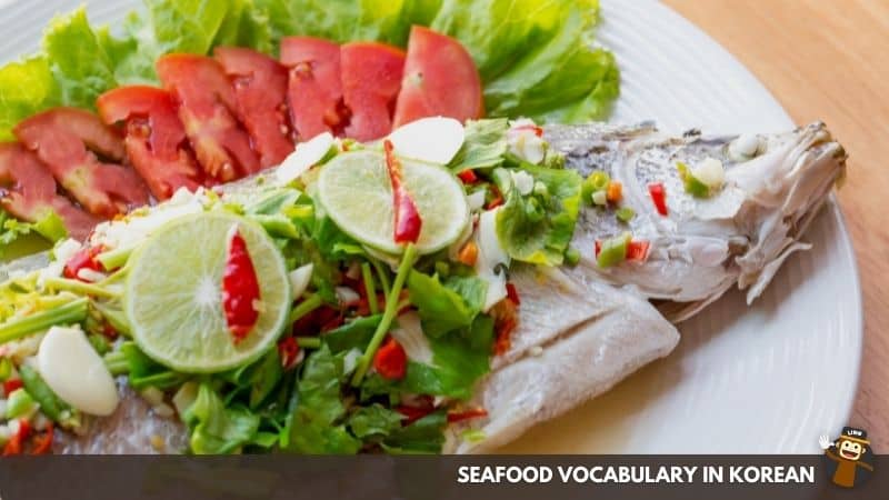 Fish - 물고기 (Mulggogi)-Seafood-Vocabulary-In-Korean-Ling