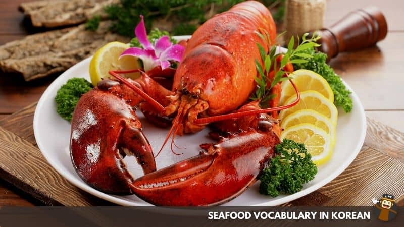 Lobster - 바닷가재 (Badaggajae)-Seafood-Vocabulary-In-Korean-Ling