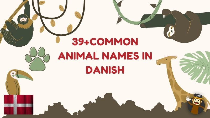 39+ Common Animal Names In Danish: Fascinating Vocabulary - Ling App