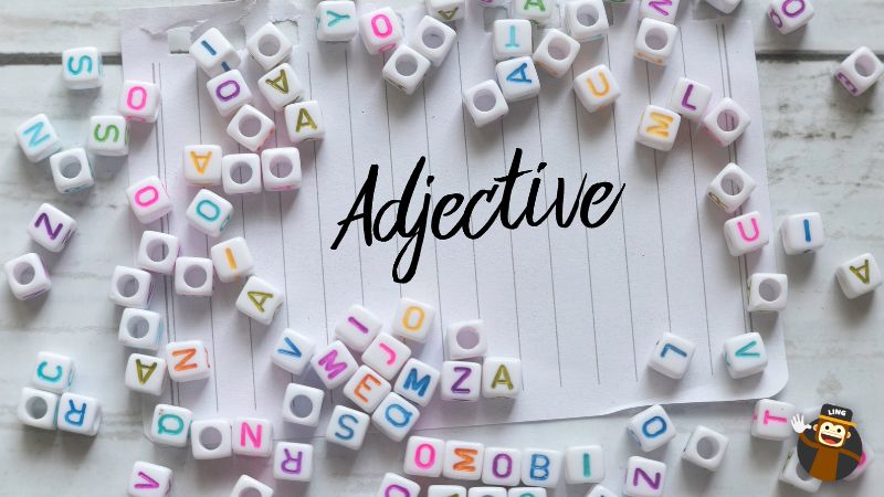 Adjectives in Dutch sentence structure