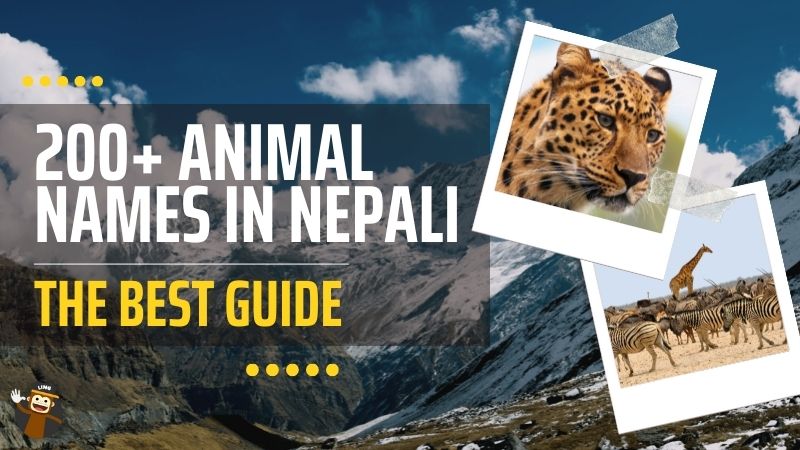 200+ Animal Names In Nepali: The Best Guide - Ling App