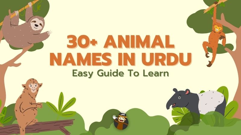30+ Animal Names In Urdu: Easy Guide To Learn - Ling App