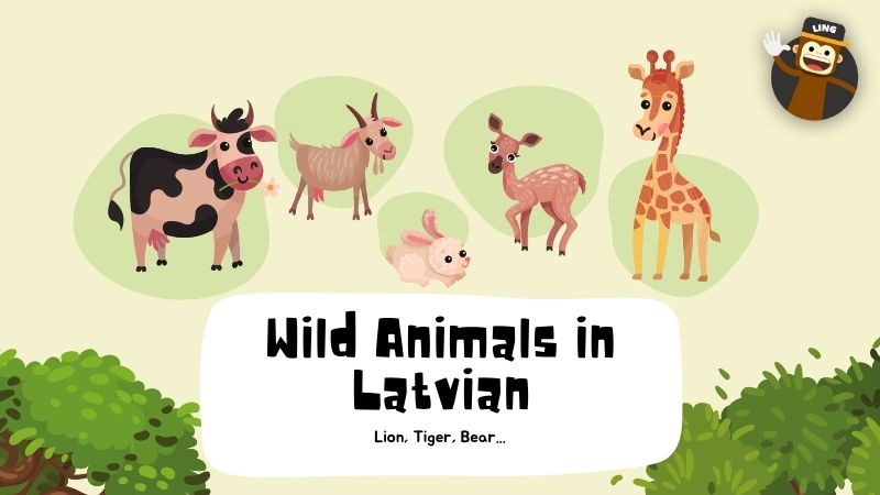 Animal names in Latvian