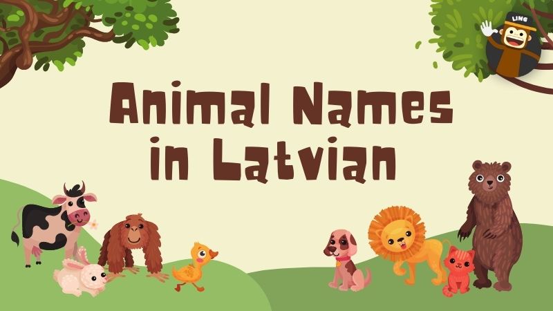 Animal Names In Latvian: 10+ Fascinating Vocabulary - Ling App