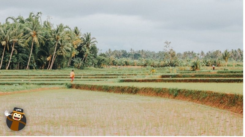  Lao Countryside