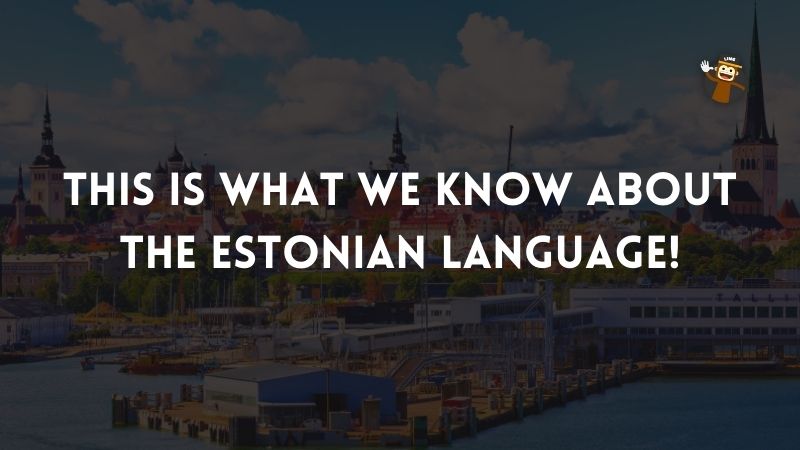 Estonian Question Words