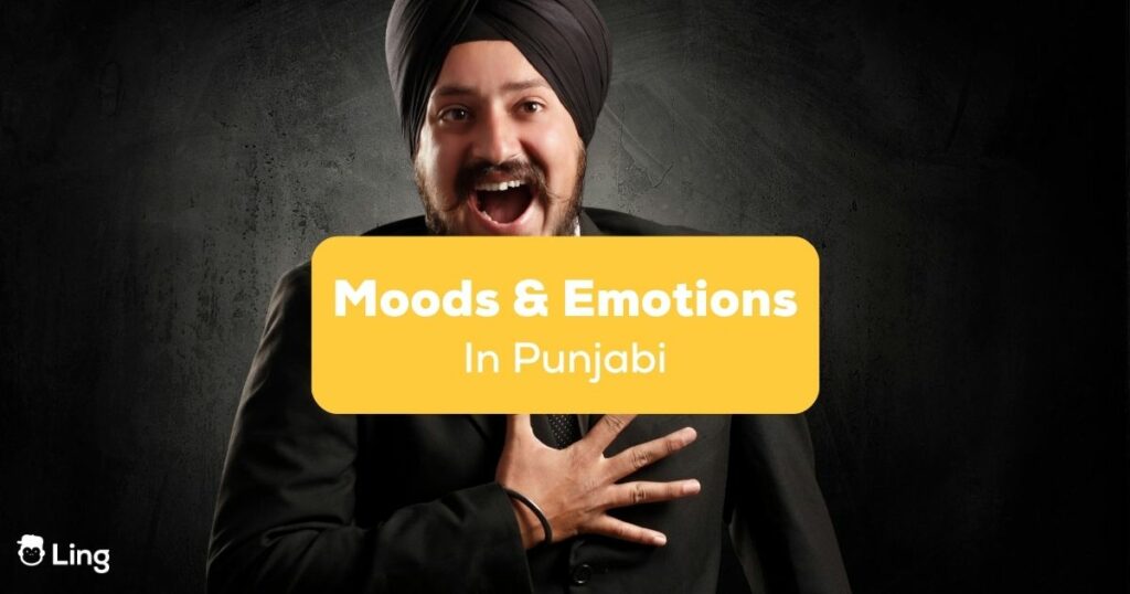 Moods and emotions in Punjabi