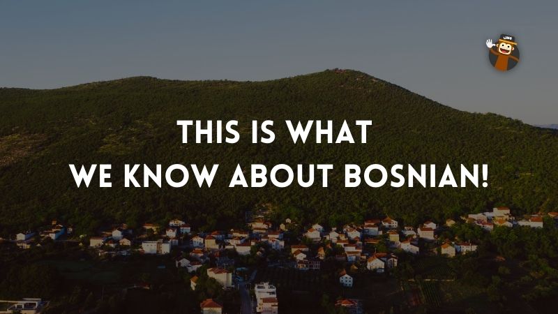 No Bosnian On Rosetta Stone