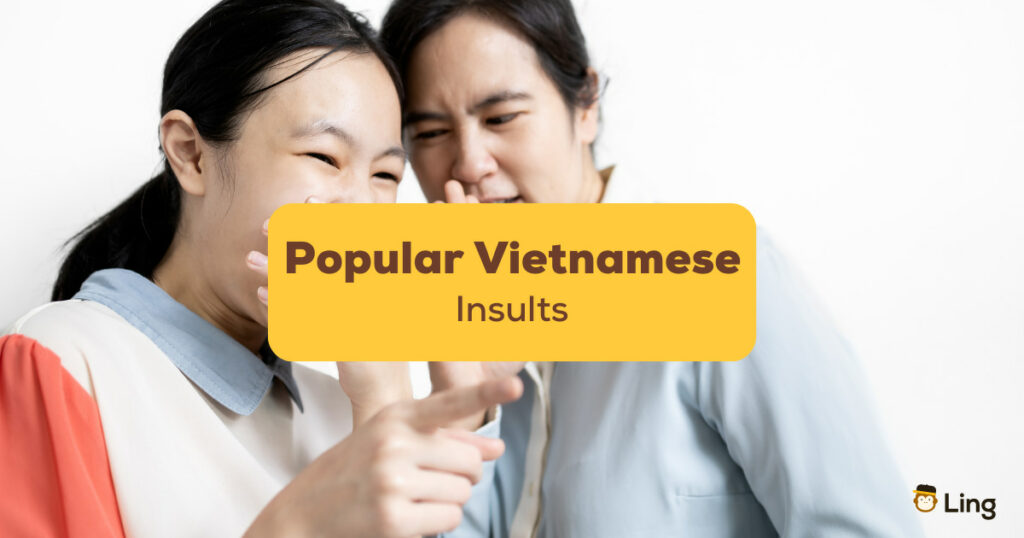 Popular Vietnamese Insults