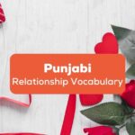 Punjabi Relationship Vocabulary