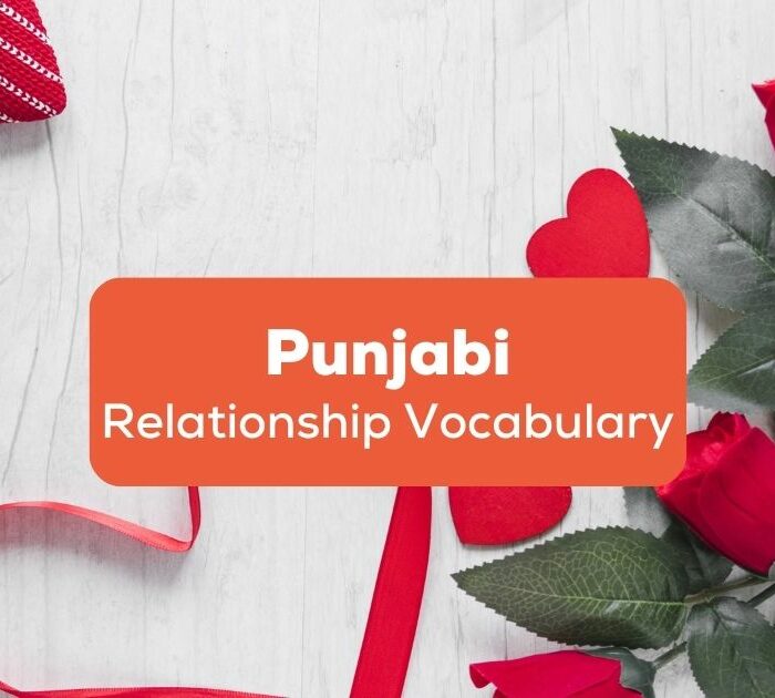 Punjabi Relationship Vocabulary