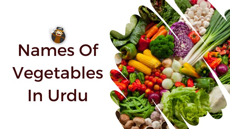 30+ Names Of Vegetables In Urdu: Easy Guide - Ling App