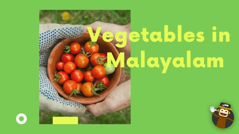 Vegetables in Malayalam