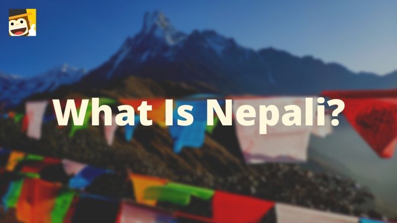 No Nepali On Mondly
