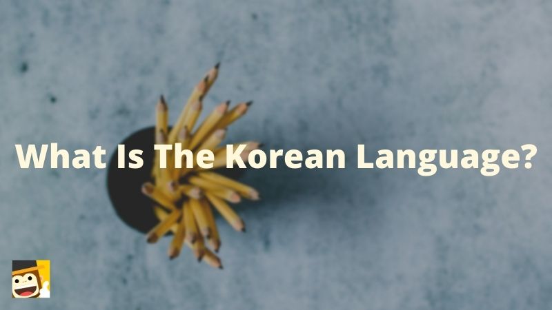 insect vocabulary in korean