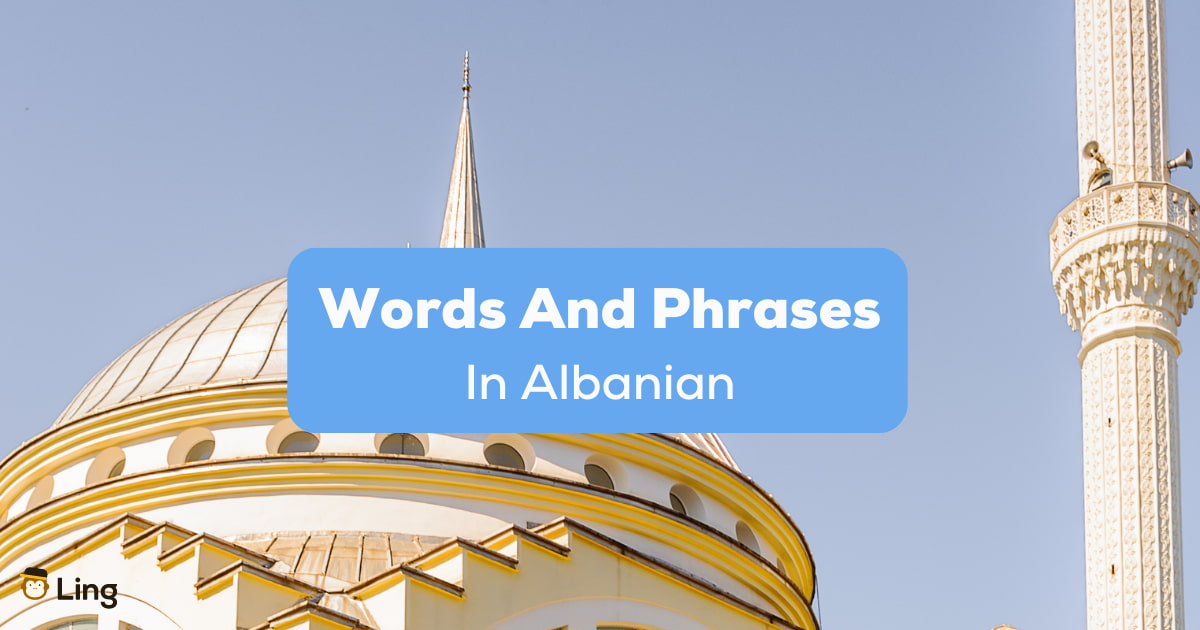 25-useful-words-and-phrases-in-albanian-ling-app