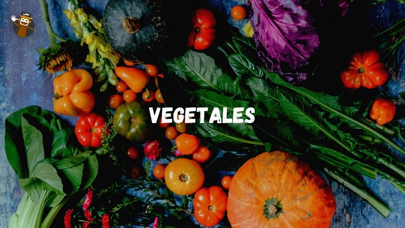 Vegetales vegetables