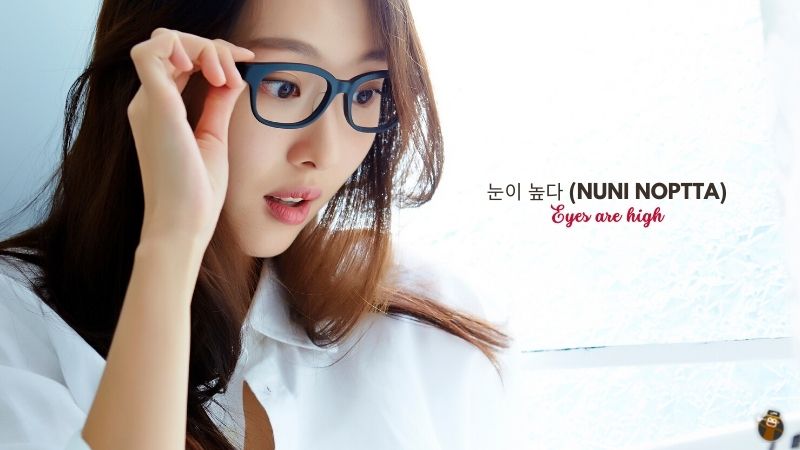 눈이 높다 (Nuni Noptta) Eyes are high-Korean-Idioms-Ling
