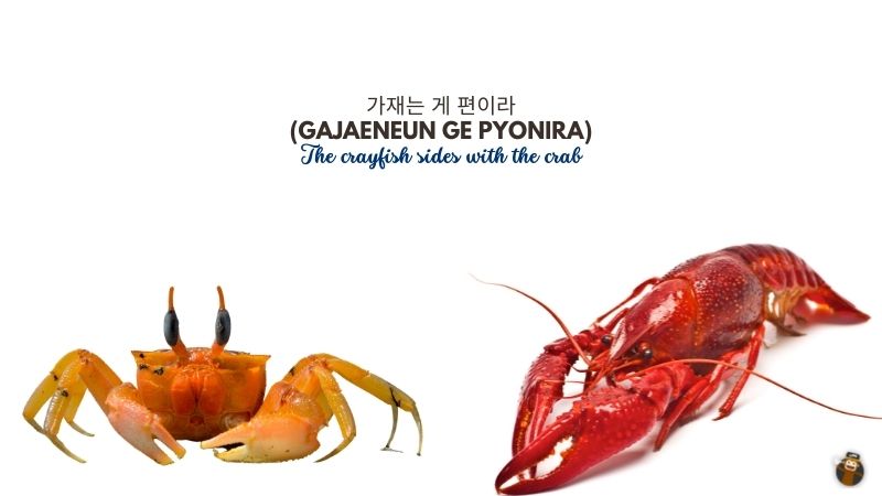 가재는 게 편이라 (Gajaeneun Ge Pyonira) The crayfish sides with the crab-Korean-Idioms-Ling