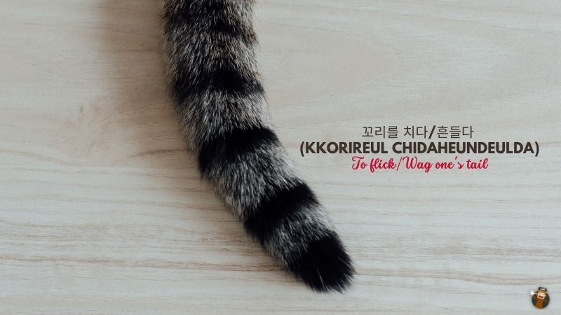 꼬리를 치다/흔들다 (Kkorireul Chidaheundeulda) To flick/Wag one's tail-Korean-Idioms-Ling