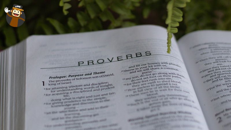 Book of Proverbs in Albanian 