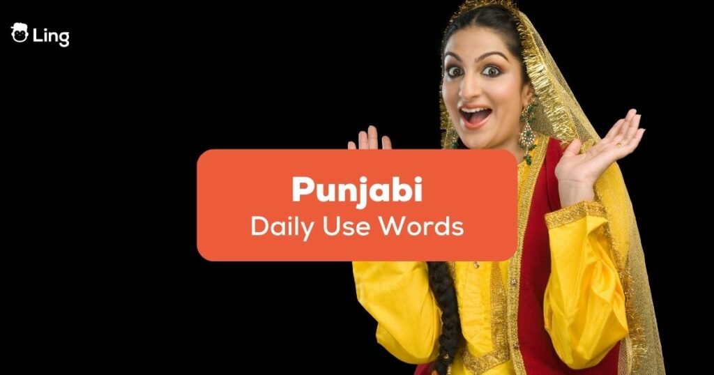 Daily Use Punjabi Words
