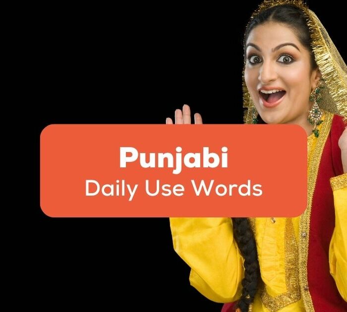 Daily Use Punjabi Words